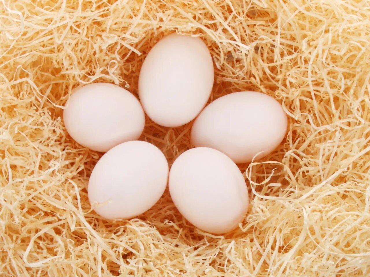 Egg как получить яйцо. Куриные яйца. домашние куриные яйца. яйцо 5 шт. 5 яиц.