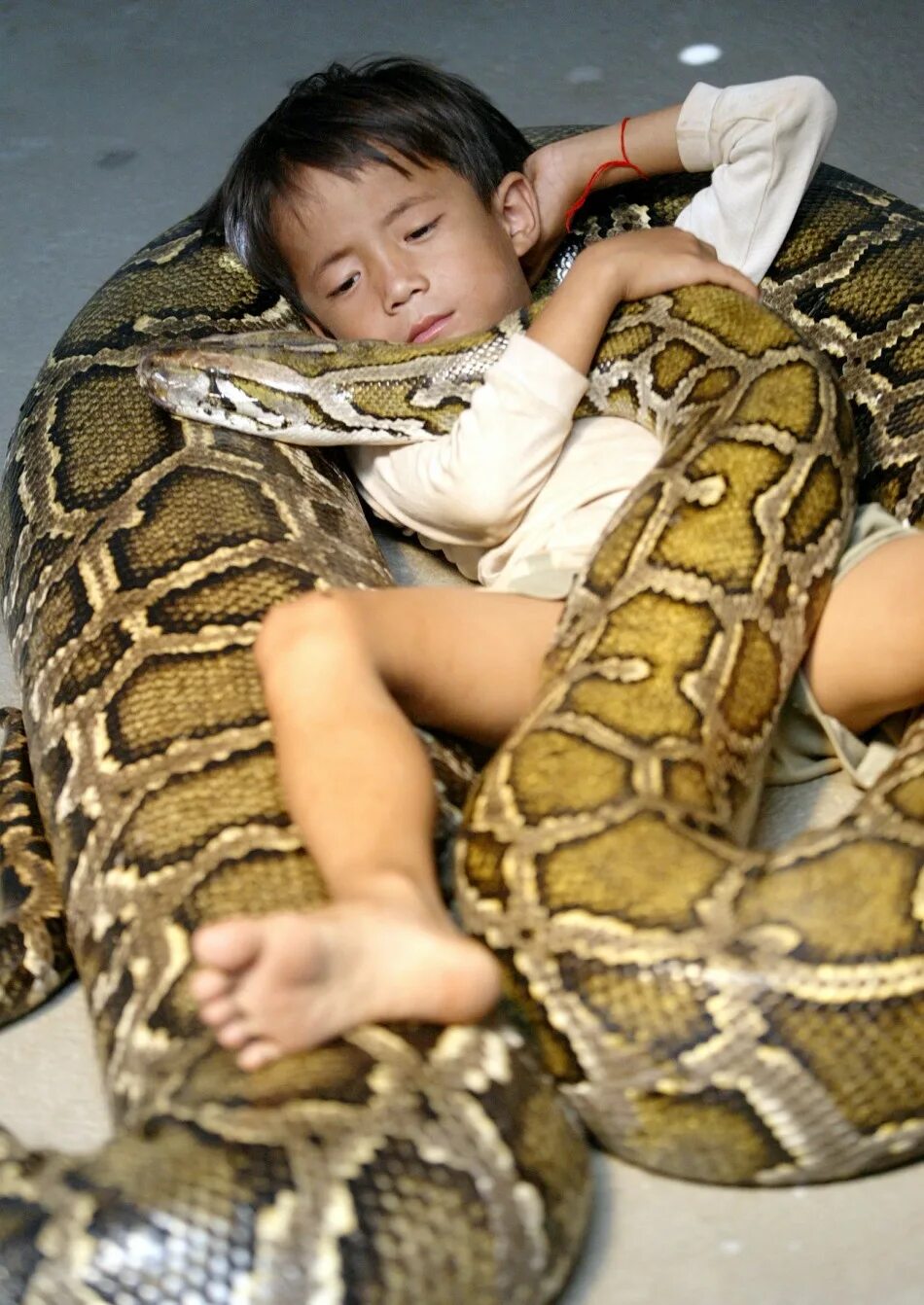 Ребенок держит змею
