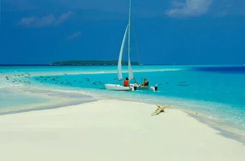 Reethi beach отзывы