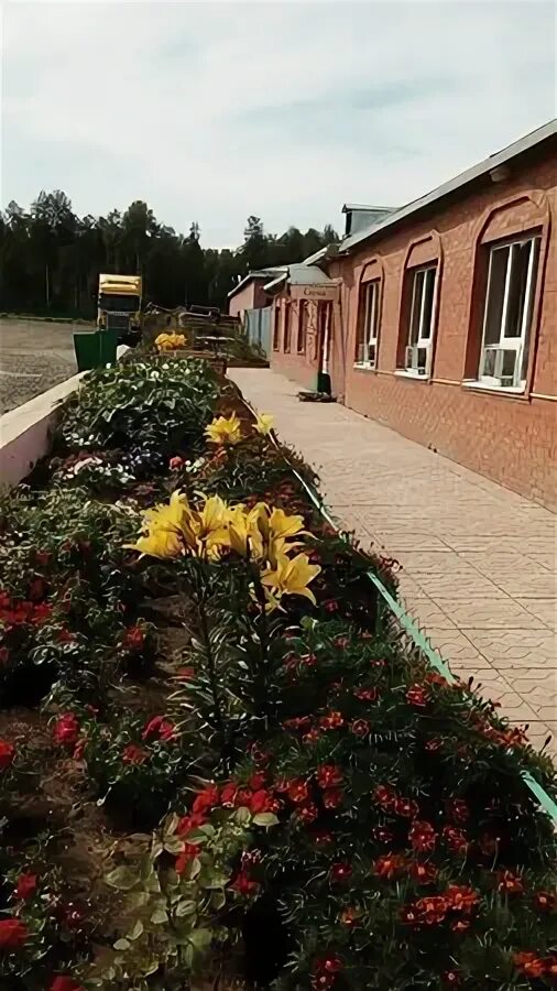 Поселок звездный мордовия. Алзамай гостиница. Гостиница у петра алзамай. Кафе у петра. Мотель у петра алзамай.