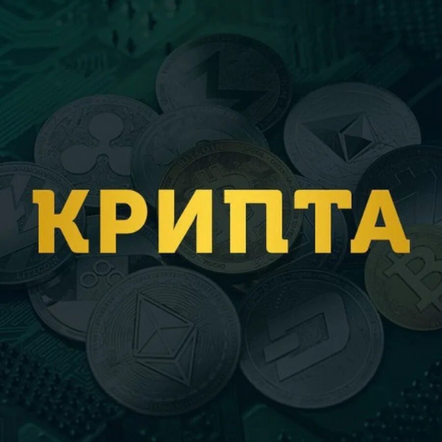 Крипта на миллион. Криптовалюта аватарка. крипта аватарка. телеграмм канал о крипте. крипта телеграмма.