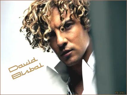 Песня david bisbal