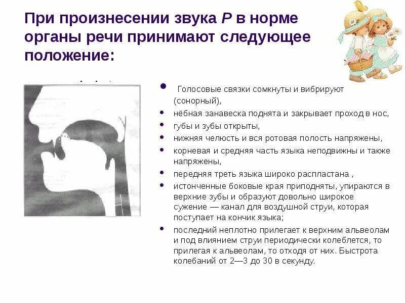 Профиль органов артикуляции при произнесении звуков. При произнесении звука р. При произнесении звука с. Профиль звука с. Политическая артикуляция