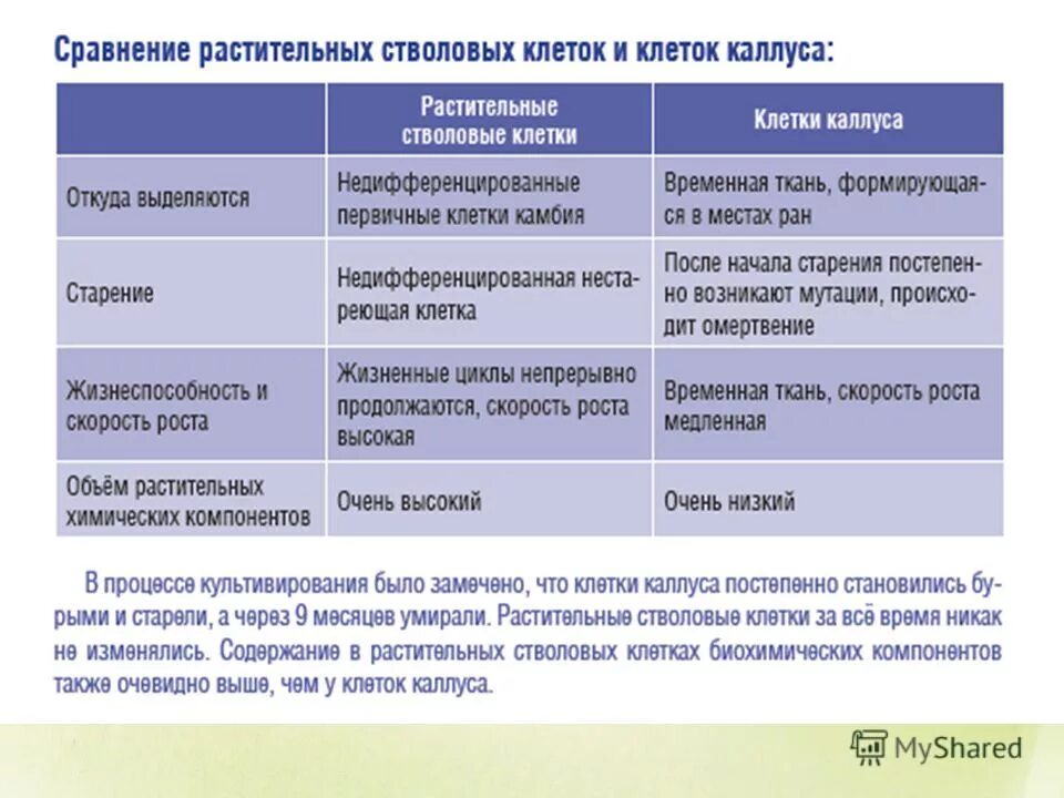 Б содержит недифференцированные клетки. Недифференцированные клетки растений. Ткань растения состоящая из недифференцированных клеток. Признаки недифференцированных клеток. Стволовые клетки растений Каллус.