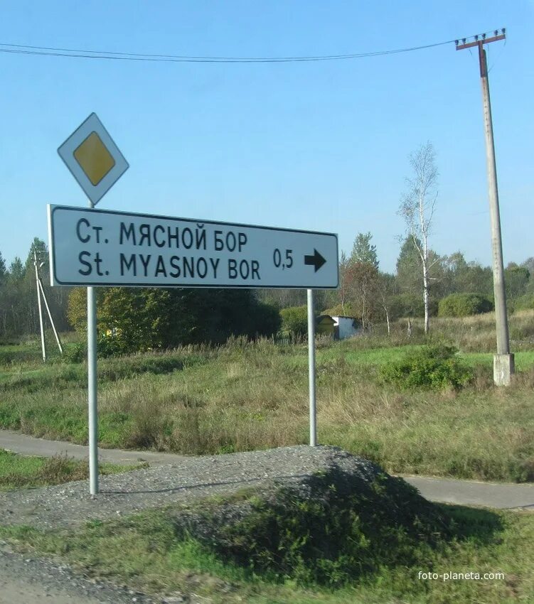 Мясной бор текст. Мясной бор текст