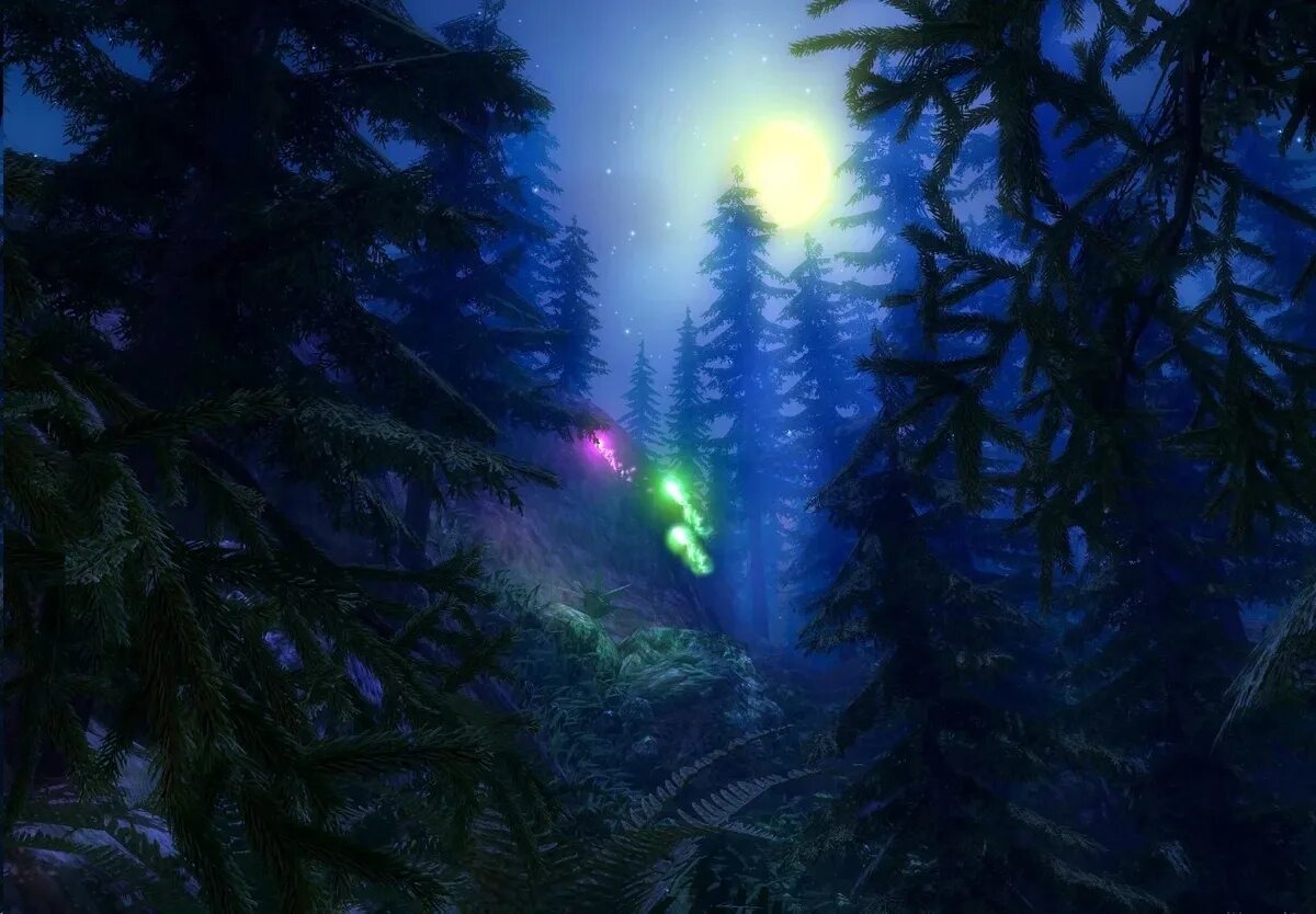 Человек с фонарем в лесу. Хвойный лес ночью. Ночной лес. Двое в лесу. Где найти ночной шепот в лесу.