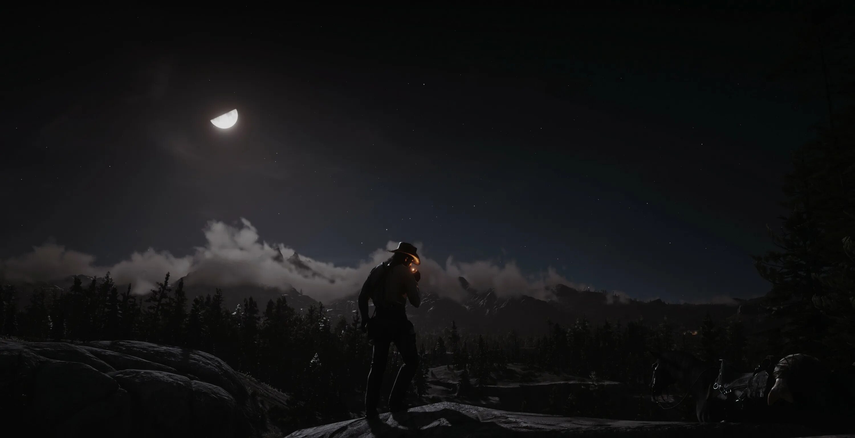 Red Dead Redemption 2 Night Sky. Красное Мертвое Искупление. Ночное небо в лесу Red Dead Redemption.