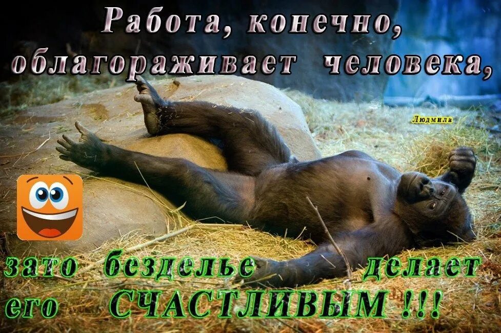 Последние дни отдыха. С пятницей картинки. Пятница впереди выходные. Шуточные поздравления с пятницей. Пятница открытка смешная.