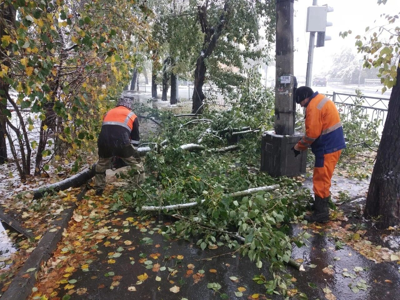 Сентябрь разбить