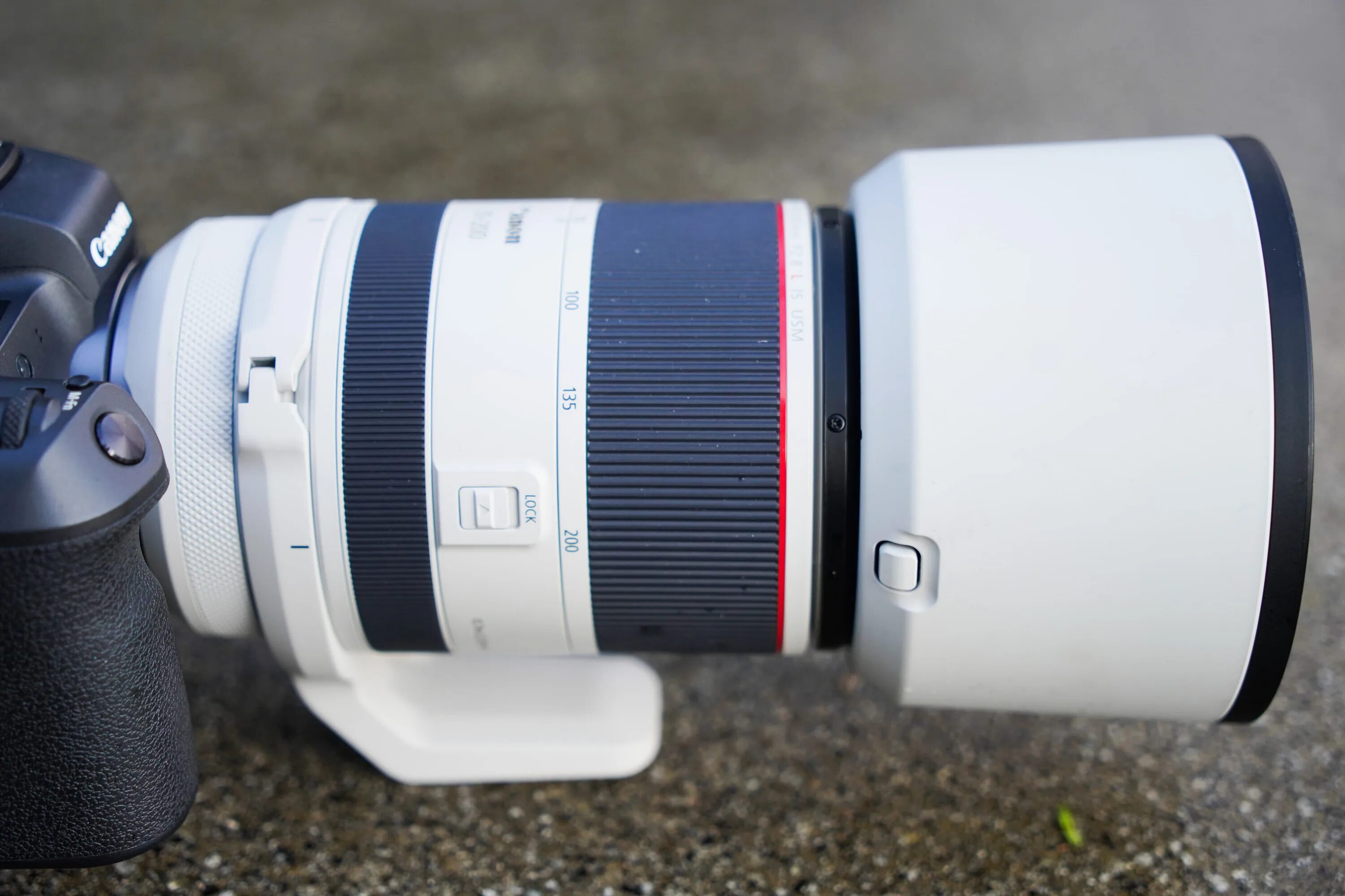 8l. 8 usm. Canon ef 70-200mm f/2. 8 usm. Canon ef 70-200 мм фото.