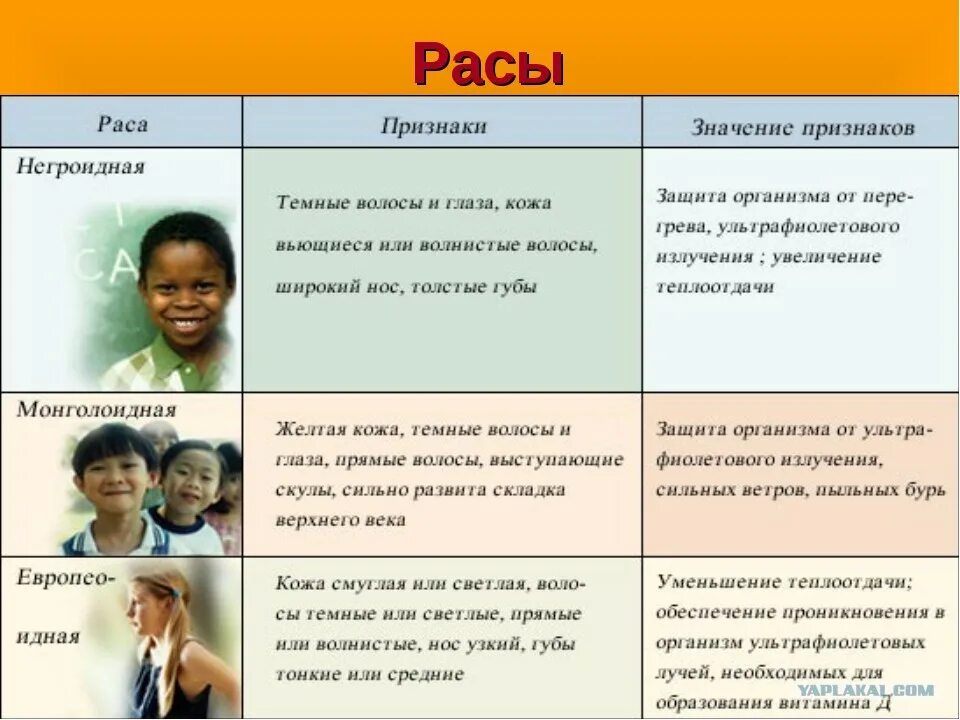 Выступающий нос характерны для какой расы. Европеоидная монголоидная негроидная раса таблица. Признаки европеоидной расы таблица. Признаки рас человека таблица. Расы и их признаки.