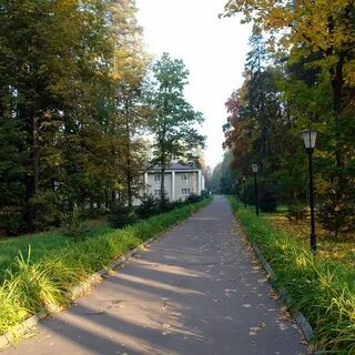 Плесково журнал