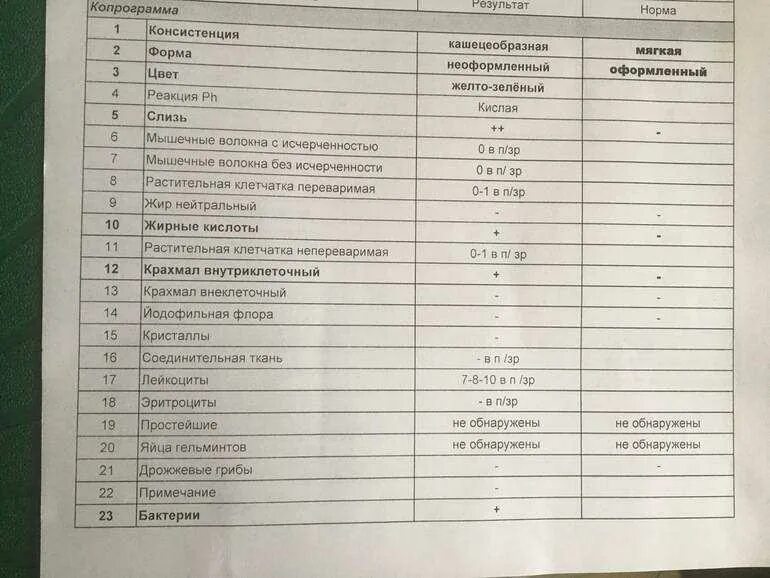 Норма анализа кала копрограмма. Копрограмма в норме микроскопия. копрограмма показатели нормы. копрология кала норма. анализ копрологического исследования норма.