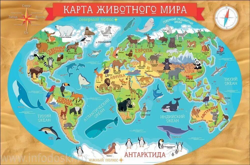 Карту где стола. Животные на материках. Карта животного мирах.