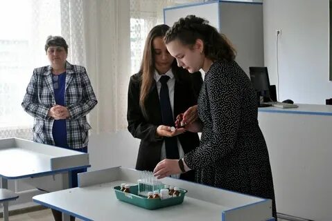 Сайты школ шарыпово