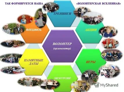Волонтер организатор