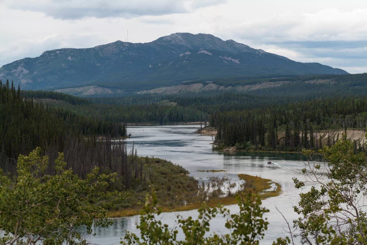 Река Юкон. Юкон Северная Америка. Река Юкон Северная Америка. Река Юкон фото.