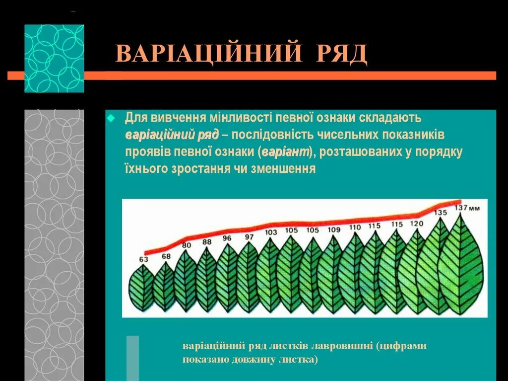 Вариационный ряд признака модификационная изменчивость. Ряд це. Функциональные и степенные ряды. 6 стопный ямб. Ряд це.