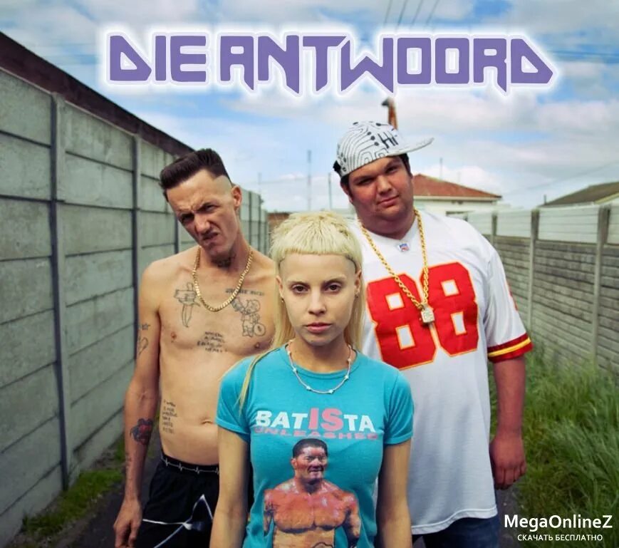 Die antwoord brain. Ди антвурд. Антвурд группа. Йоланди Фиссер группа. Die antwoord солистка 2022.