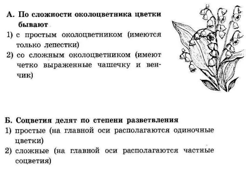 Огэ биология тест с ответами. ОГЭ биология задания. Первые задания ОГЭ по биологии. ОГЭ биология задачи. 1 Задание ОГЭ по биологии.