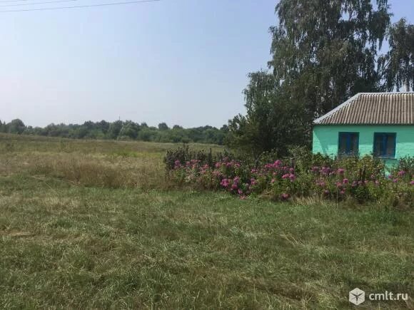 Погода в красных холмах панинского. Церковь в красном лимане панинский район. Село красный холм. Погода в красных холмах панинского. Пролетарская 44 красные холмы воронежской области.