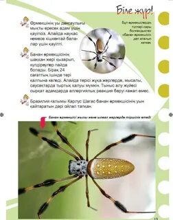 Сексуалды мультфильм порно