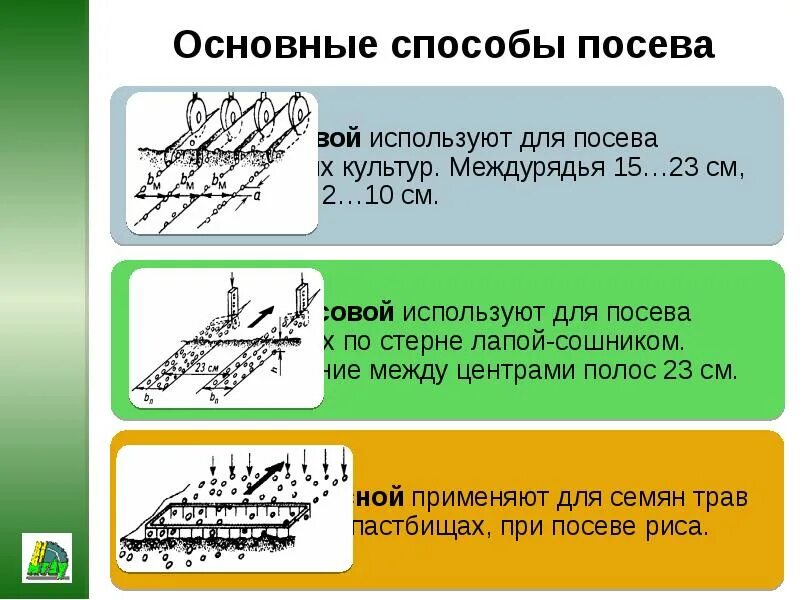 Интерпретация посева. Какие способы посева применяют для высева зерновых культур. название машин для посева. способы посева риса. анкерный способ посадки.