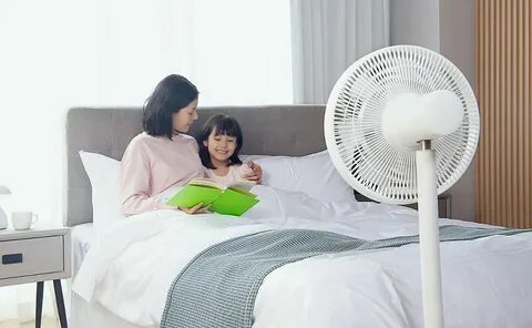 Xiaomi dc