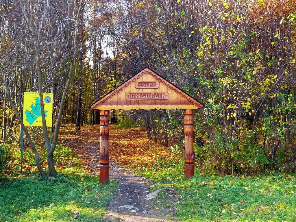 Природно исторический парк москвы. Природно-исторический парк «Битцевский лес». Парк Битцевский лес в Москве. Природный парк Битцевский лес. Ясенево парк Битцевский парк.