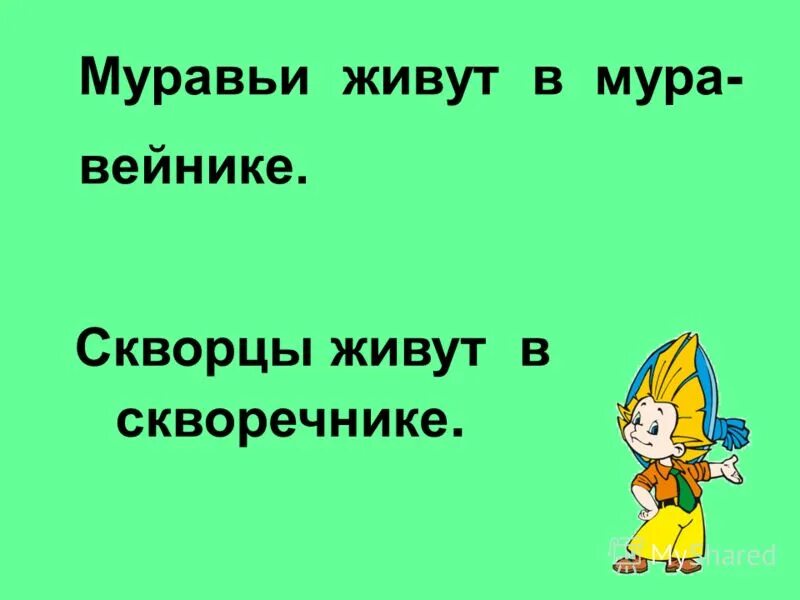 Скворец проверочное слово в корне. Скворец проверочное слово.
