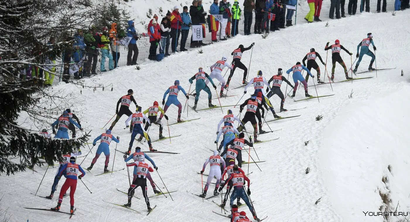 Международная федерация лыжного. Тронхейм 1997 лыжные гонки. Fis лыжные гонки. Лыжные гонки вид сверху.
