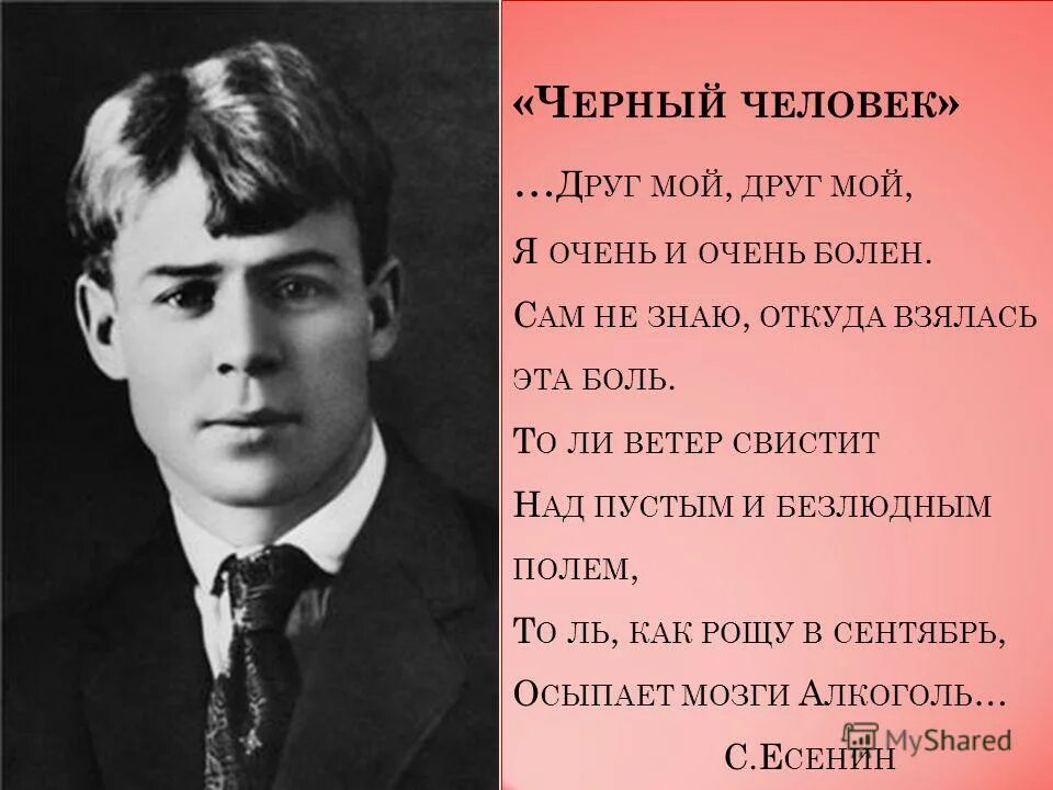 сергей есенин ветер с юга. стихотворение сергея александровича есенина. ветер с юга есенин стихи есенина. кто написал не пришла ты ночью. кто написал не пришла ты ночью.