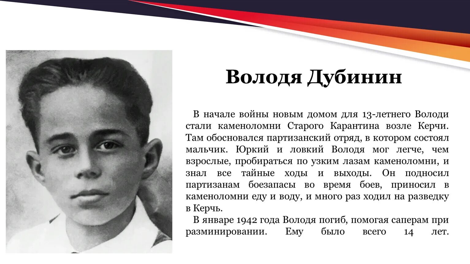 Володя дубинин биография. Пионер Володя Дубинин.