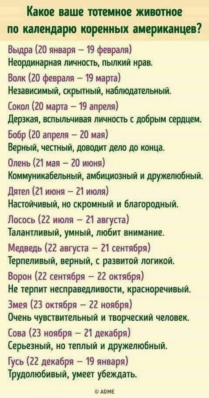 Гороскоп животное по дате. Тотемное животное по гороскопу. Томное животное по знаку зодиака. Знаки зодиака по датам. Гороскоп тотемных животных.