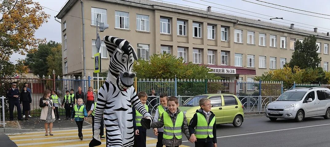 Зебра переходя дорогу. Зебра Street, Кемерово. Человек Зебра. Пешеходная Зебра. Зебры в городе.