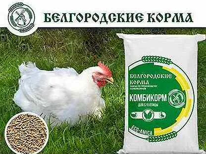 Белгородский комбикорм для бройлеров