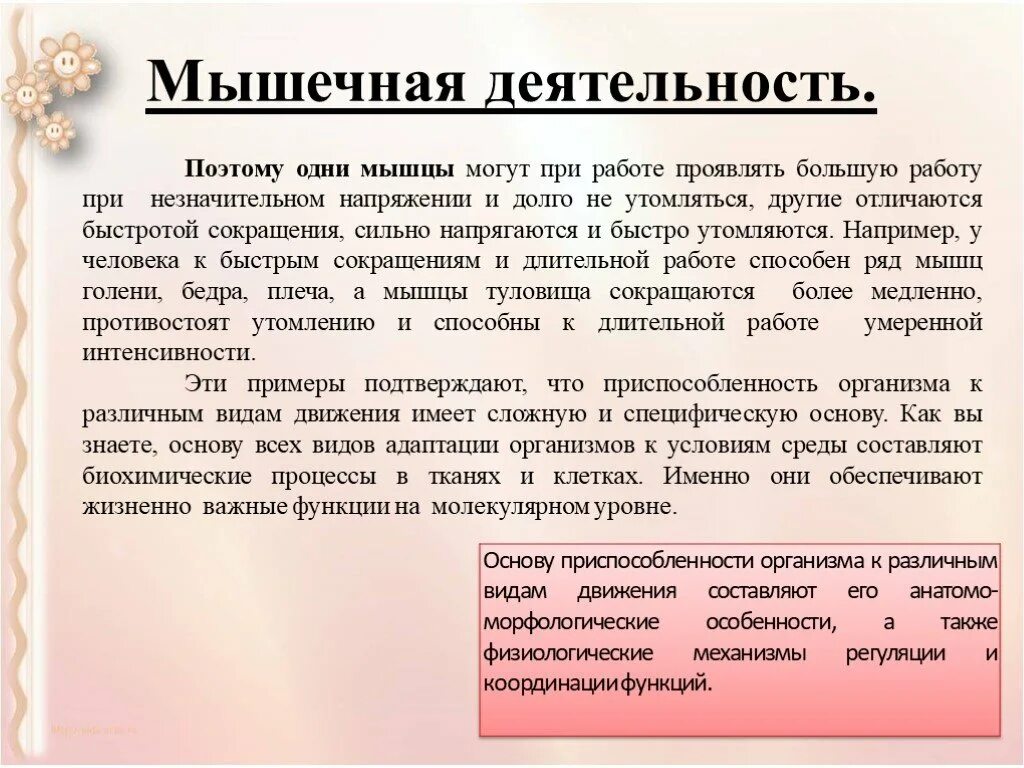 Мышечная деятельность. Мышечная активность. Функционирование мышц. Тип мышечной активности.