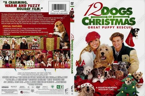 12 dogs