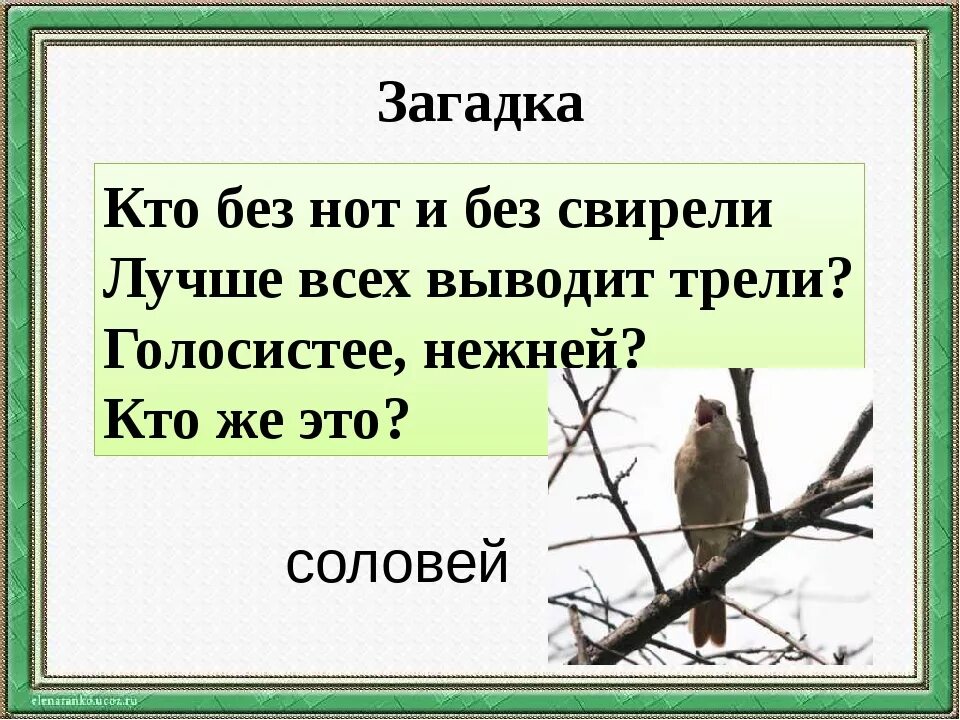 Загадка жуковского сравнить. Загадка про соловья. загадка про соловья для детей. детские загадки про соловья. загадка про соловьев.