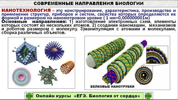 Современные направления в биологии. Основные направления современной биологии. Современные направления в прикладной биологии. Магистральные направления биологии. Современные направления биологии