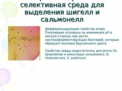 Питательная среда для выделения сальмонелл