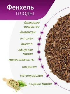 Плоды фенхеля