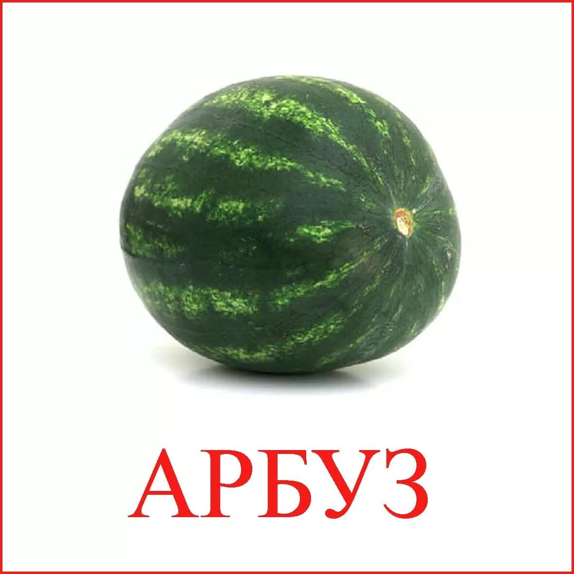 арбуз весом 1 килограмм. а арбуз алфавит. текст арбуз. карточка со словом арбуз. факты о арбузе.