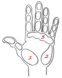 Custom hands