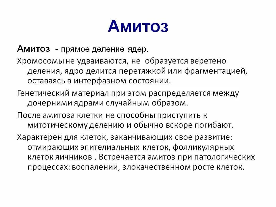 Деление клетки амитоз. Что такое амитоз в биологии 10 класс. амитоз сущность и механизм разновидности амитоза. амитоз кратко. краткая характеристика амитоза.