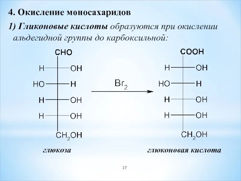 Моносахариды образуются в результате. Глюконовая кислота образуется при. Окисление моносахаридов. Получение гликоновых кислот. Окисление моносахаридов. Гликоновые,.