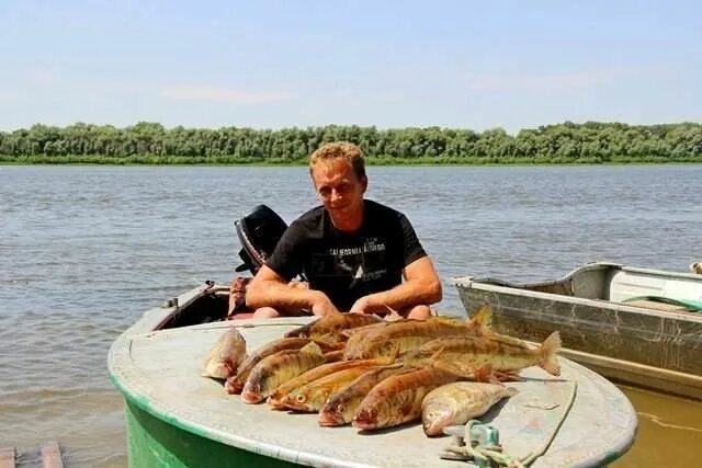 У Романыча рыболовная база в Харабали. База у Романыча Ахтуба. Рыболовная база в Астраханской области у Романыча. Место встречи Астрахань рыболовная база в Астраханской. Астраханский база рыболовный сайт