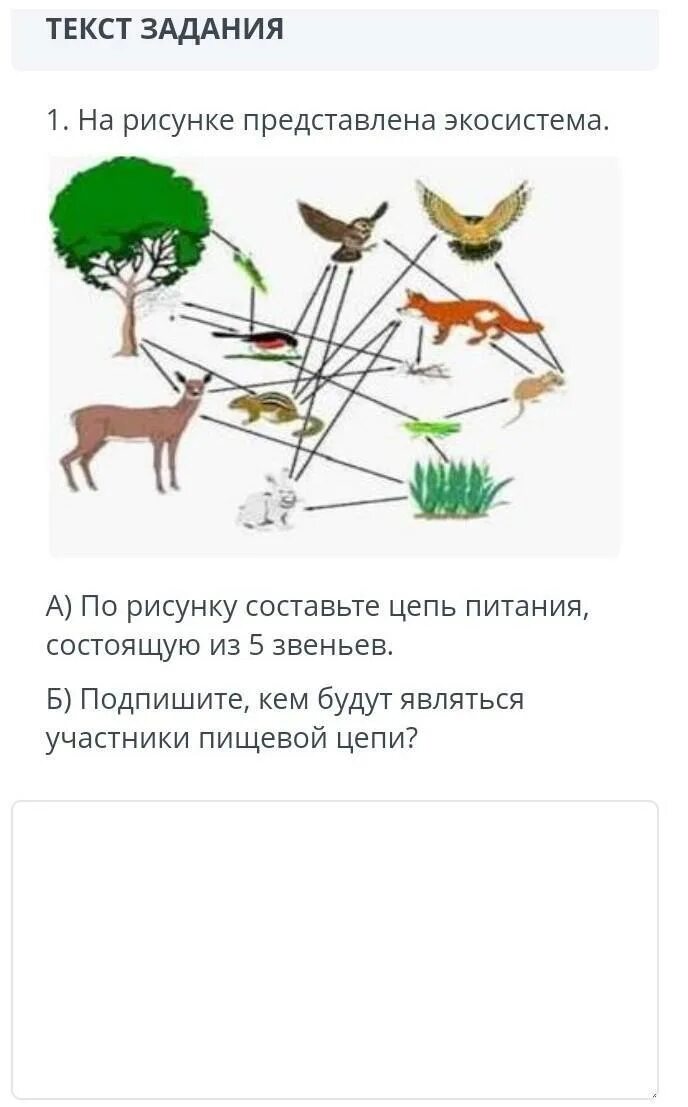 Пищевая цепь из 4 5 звеньев. Пять цепей питания из пяти звеньев. 1 Цепь питания из 5 звеньев. Цепи питания биология 5 звеньев. Цепь питания рисунок.