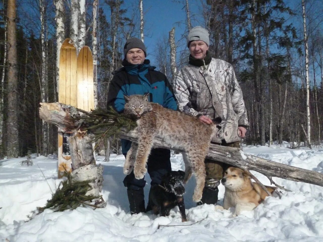 пушной промысел,охота на соболя. охотник. стоит ли заниматься охотой. сибирь тайга охотничий промысел. охота на оленя.