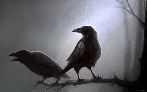 Загадка я боюсь долгоносой вороны